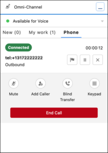 This image is a screenshot of the Omni-channel widget with the available call controls.