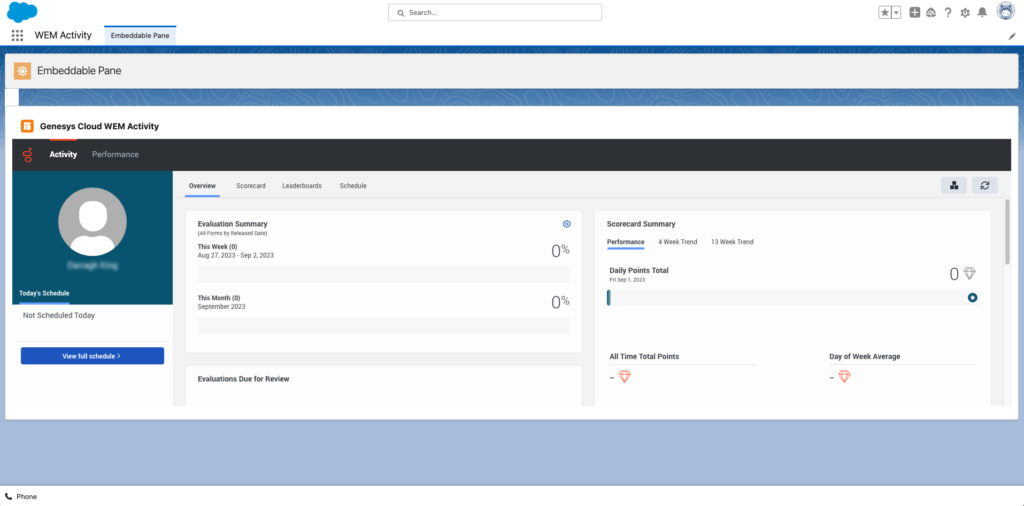 This image is a screenshot of the WEM activity in Salesforce.