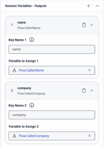 Ausgabevariablen in der Aktion „Call Audio Connector“